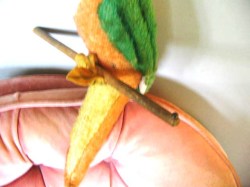 parrot old_04